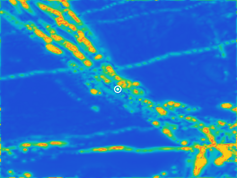 Magnetic analytic signal over the asset